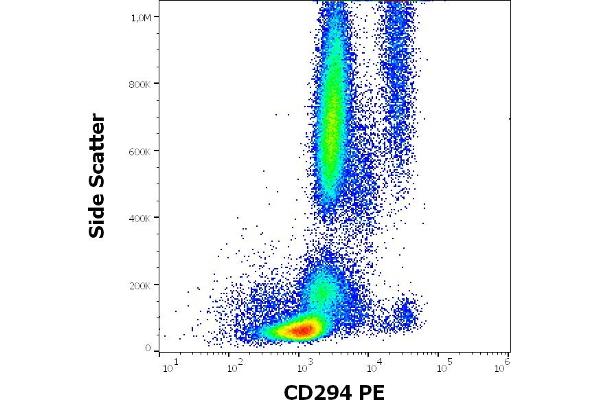 Prostaglandin D2 Receptor 2 (PTGDR2) Antikörper (PE)