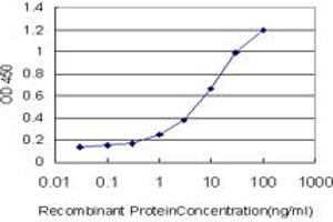 Detection limit for recombinant GST tagged BMPR1B is approximately 0. (BMPR1B Antikörper  (AA 14-502))