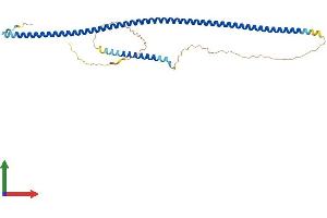 Protein Structure (PS) image for NudE Nuclear Distribution E Homolog (A. Nidulans)-Like 1 (NDEL1) (AA 1-345) protein (His tag) (ABIN7554730)