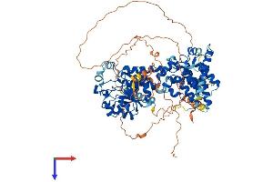 PTPDC1 Protein (AA 1-754) (His tag)