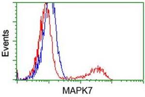HEK293T cells transfected with either RC203506 overexpress plasmid (Red) or empty vector control plasmid (Blue) were immunostained by anti-MAPK7 antibody (ABIN2454051), and then analyzed by flow cytometry.