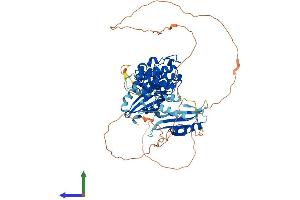 Protein Structure (PS) image for Maternal Embryonic Leucine Zipper Kinase (MELK) (AA 1-643) protein (His tag) (ABIN7563932)
