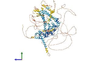 AlphaFold protein structure predicition of Human Recombinant ERCC5 Protein, UniprotID P28715