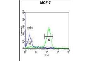 LUC7L2 Antibody (C-term) (ABIN653502 and ABIN2842911) flow cytometric analysis of MCF-7 cells (right histogram) compared to a negative control cell (left histogram). (LUC7L2 Antikörper  (C-Term))