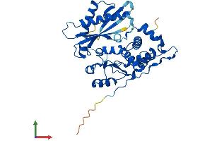Protein Structure (PS) image for 2'-5' Oligoadenylate Synthetase 1A (OAS1A) (AA 1-367) protein (His tag) (ABIN7562844)