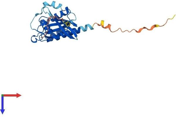 Rab3c Protein (AA 1-227) (His tag)