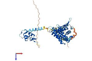 NR1I2 Protein (AA 1-431) (His tag)