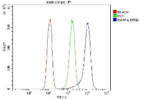 Flow Cytometry analysis of A431 cells using anti-RAB7 antibody (ABIN3044538).