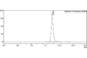 Size-exclusion chromatography-High Pressure Liquid Chromatography (SEC-HPLC) image for Fc Fragment of IgG, Low Affinity IIa, Receptor (CD32) (FCGR2A) (AA 36-218) protein (His-Avi Tag,Biotin) (ABIN7536866)