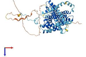 DGAT1 Protein (AA 1-498) (His tag)