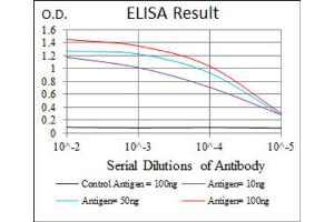 ELISA image for anti-Protein Phosphatase, Mg2+/Mn2+ Dependent, 1A (PPM1A) (AA 202-382) antibody (ABIN1845590)