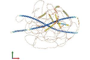 Protein Structure (PS) image for Nestin (NES) (AA 1-1621) protein (His tag) (ABIN7554705)