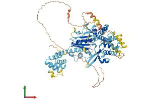 AlphaFold protein structure predicition of Mouse Recombinant Nlrp10 Protein, UniprotID Q8CCN1