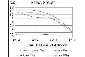 Black line: Control Antigen (100 ng), Purple line: Antigen(10 ng), Blue line: Antigen (50 ng), Red line: Antigen (100 ng), (PIWIL4 Antikörper  (AA 304-434))