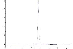 Size-exclusion chromatography-High Pressure Liquid Chromatography (SEC-HPLC) image for CD2 (CD2) (AA 25-209) protein (Fc Tag) (ABIN7274109)