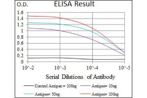 ELISA image for anti-EGFR Mutant (AA 693-893), (Mutant) antibody (ABIN1845729) (EGFR Mutant (AA 693-893), (Mutant) Antikörper)