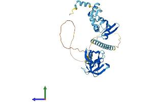 AlphaFold protein structure predicition of Human Recombinant KIN Protein, UniprotID O60870