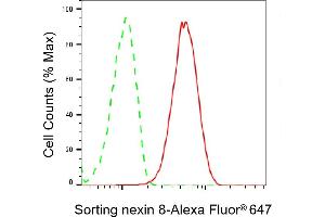 Flow cytometric analysis of Sorting nexin 8 expression in HepG2 cells using Sorting nexin 8 antibody (ABIN7800411), 1:2,000). (SNX8 Antikörper)