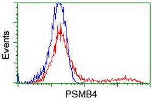 HEK293T cells transfected with either RC205723 overexpress plasmid (Red) or empty vector control plasmid (Blue) were immunostained by anti-PSMB4 antibody (ABIN2454988), and then analyzed by flow cytometry. (PSMB4 Antikörper)