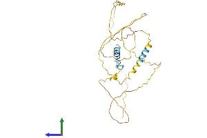 AlphaFold protein structure predicition of Human Recombinant ERMN Protein, UniprotID Q8TAM6