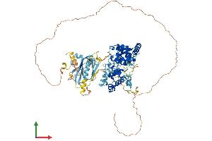 Protein Structure (PS) image for TBC1 Domain Family, Member 16 (TBC1D16) (AA 1-767) protein (His tag) (ABIN7544291)
