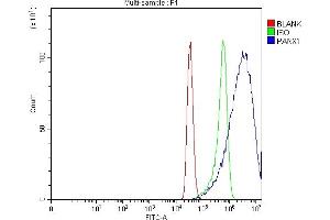 Flow Cytometry analysis of MCF-7 cells using anti-Pannexin 1/PANX1 antibody (ABIN7599312).