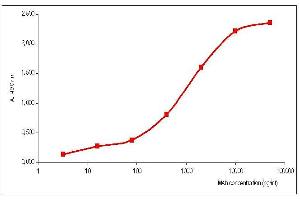 Image no. 1 for anti-Influenza B Virus Matrix antibody (Influenza B Virus) (ABIN235660)