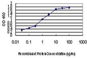 ELISA image for anti-Zic Family Member 4 (ZIC4) (AA 249-320) antibody (ABIN466251) (ZIC4 Antikörper  (AA 249-320))