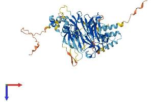 FBXO24 Protein (AA 1-580) (His tag)
