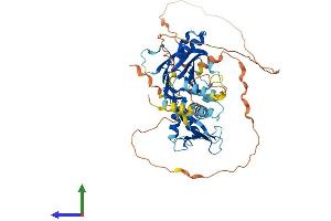 Protein Structure (PS) image for Interferon Regulatory Factor 7 (IRF7) (AA 1-503) protein (His tag) (ABIN7554224)