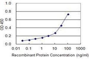 Detection limit for recombinant GST tagged MARS2 is 0. (MARS2 Antikörper  (AA 1-106))