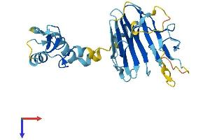 AlphaFold protein structure predicition of Human Recombinant RFPL4B Protein, UniprotID Q6ZWI9
