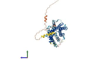 AlphaFold protein structure predicition of Mouse Recombinant Prokr1 Protein, UniprotID Q9JKL1