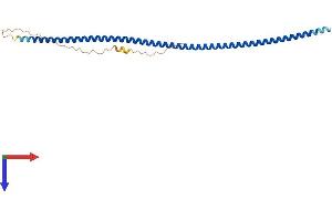 SYCP3 Protein (AA 1-236) (His tag)