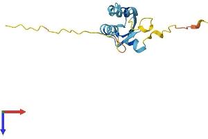BOLA1 Protein (AA 1-137) (His tag)