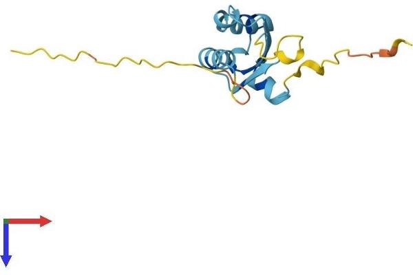 BOLA1 Protein (AA 1-137) (His tag)
