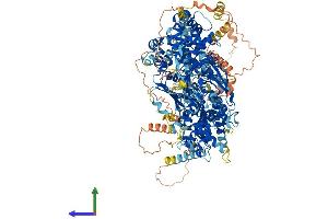 Protein Structure (PS) image for DENN/MADD Domain Containing 5A (DENND5A) (AA 1-1287) protein (His tag) (ABIN7564107)