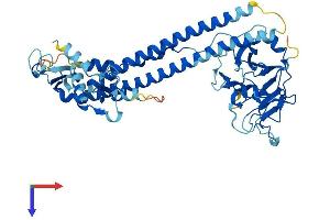 TRIM68 Protein (AA 1-485) (His tag)