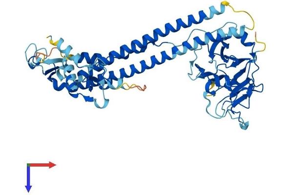 TRIM68 Protein (AA 1-485) (His tag)