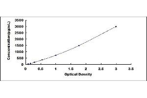 Typical standard curve (SRGN ELISA Kit)