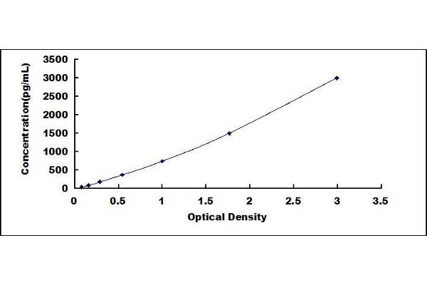 SRGN ELISA Kit