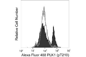 Flow Cytometry (FACS) image for anti-Polo-Like Kinase 1 (PLK1) (pThr210) antibody (Alexa Fluor 488) (ABIN1177154) (PLK1 Antikörper  (pThr210) (Alexa Fluor 488))