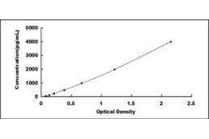 ELISA image for Fibroblast Growth Factor 1 (Acidic) (FGF1) ELISA Kit (ABIN414055)