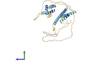 Protein Structure (PS) image for Meis Homeobox 1 (MEIS1) (AA 1-390) protein (His tag) (ABIN7549350)