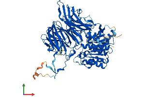 Protein Structure (PS) image for N-Acylaminoacyl-Peptide Hydrolase (APEH) (AA 1-732) protein (His tag) (ABIN7559653)