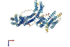 CTNNA3 Protein (AA 1-895) (His tag)
