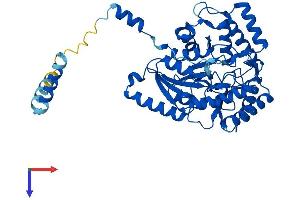 SPTLC1 Protein (AA 1-473) (His tag)