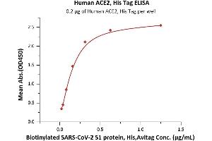 Immobilized Human ACE2, His Tag (ABIN6952618) at 2 μg/mL (100 μL/well) can bind Biotinylated SARS-CoV-2 S1 protein, His,Avitag (ABIN6952457) with a linear range of 0. (ACE2 Protein (His tag))