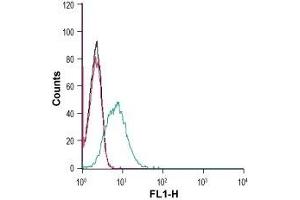 Cell surface detection of Corticotropin-releasing factor receptor 2 in live intact HL-60 (human promyelocytic leukemia) cells: (black line) Cells. (CRHR2 Antikörper  (Extracellular))