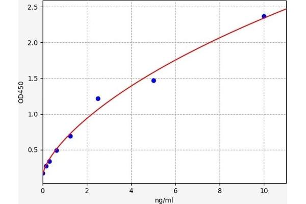 LFNG ELISA Kit